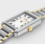 Orologio Cluse Donna Belisenna Watch Steel White Two-tone CW15003