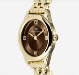 Orologio Daniel Wellington Ophelia Mini Beans Link Amber Gold Ref. DW00101018