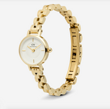 Orologio Daniel Wellington Petite Mini Arch 3-link White Gold Bianco Ref. DW00100855