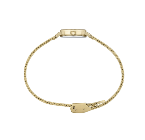 Orologio Donna Breil Darlyng Gold Verde Ref. TW2002